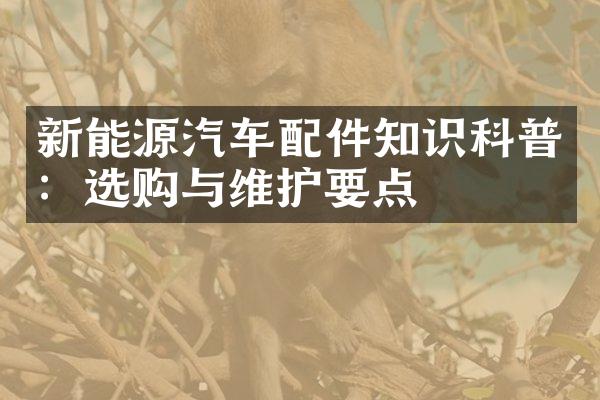 新能源汽车配件知识科普：选购与维护要点