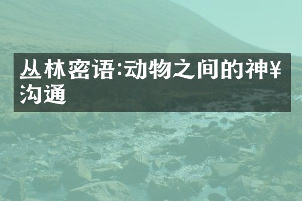 丛林密语:动物之间的神奇沟通