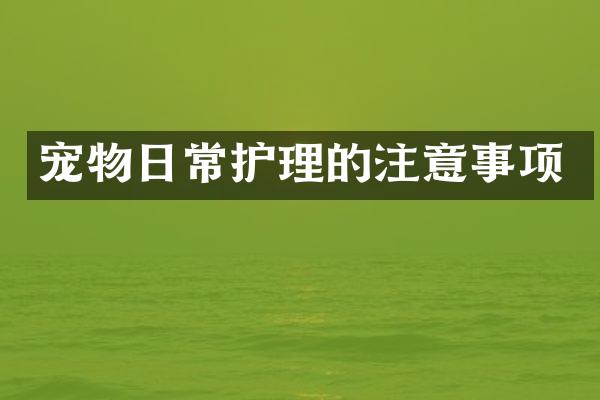 宠物日常护理的注意事项