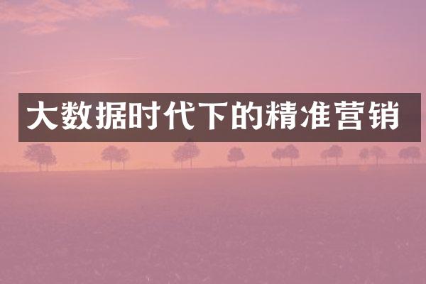 大数据时代下的精准营销
