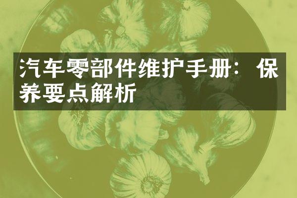 汽车零部件维护手册：保养要点解析