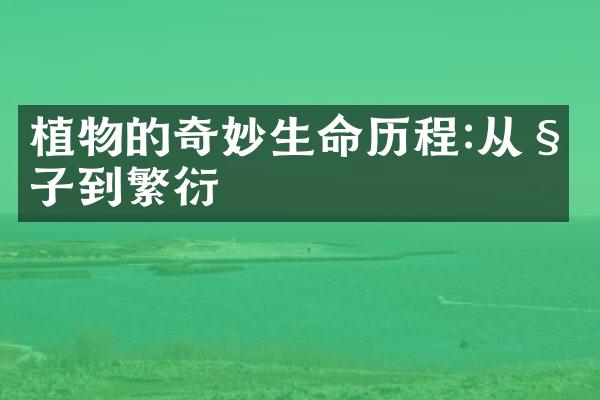 植物的奇妙生命历程:从种子到繁衍