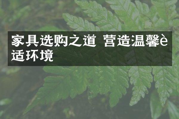家具选购之道 营造温馨舒适环境