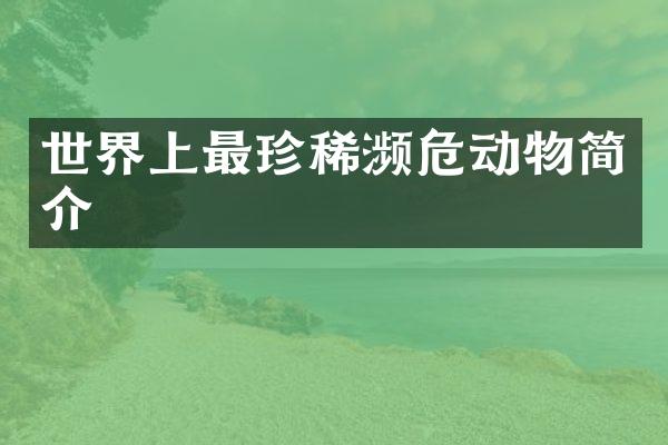 世界上最珍稀濒危动物简介