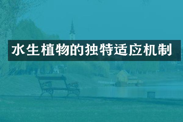 水生植物的独特适应机制
