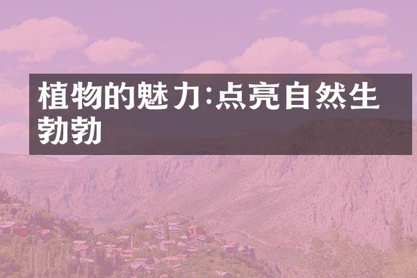 植物的魅力:点亮自然生机勃勃