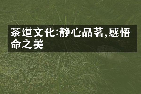 茶道文化:静心品茗,感悟生命之美