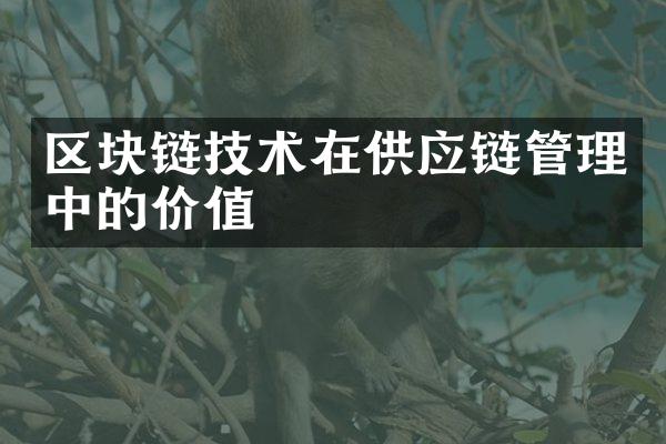 区块链技术在供应链管理中的价值