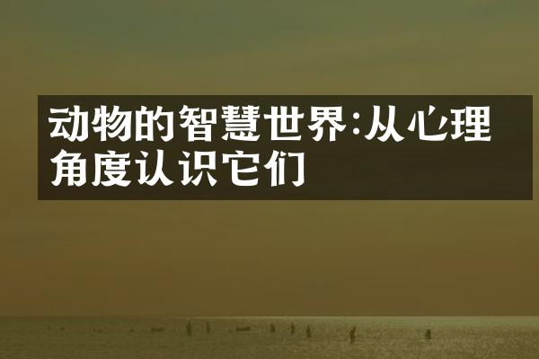 动物的智慧世界:从心理学角度认识它们