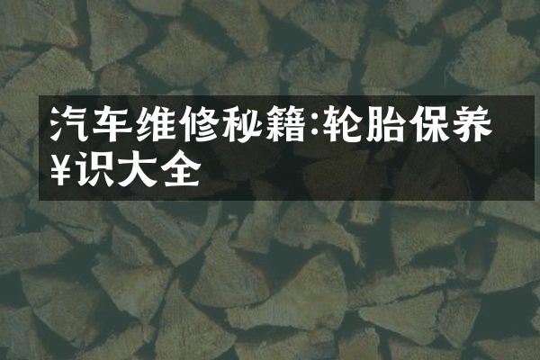汽车维修秘籍:轮胎保养知识大全