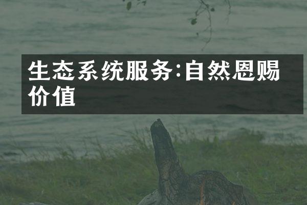 生态系统服务:自然恩赐的价值