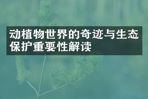 动植物世界的奇迹与生态保护重要性解读