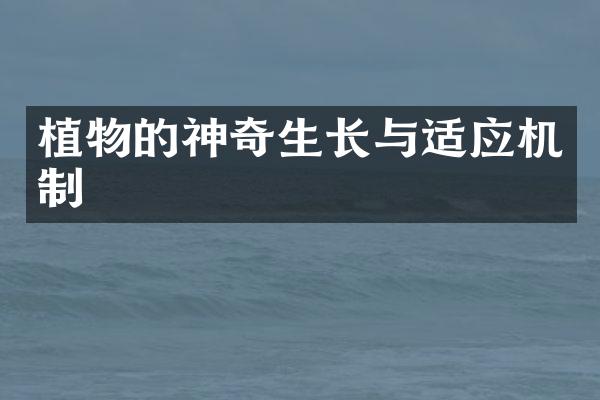 植物的神奇生长与适应机制