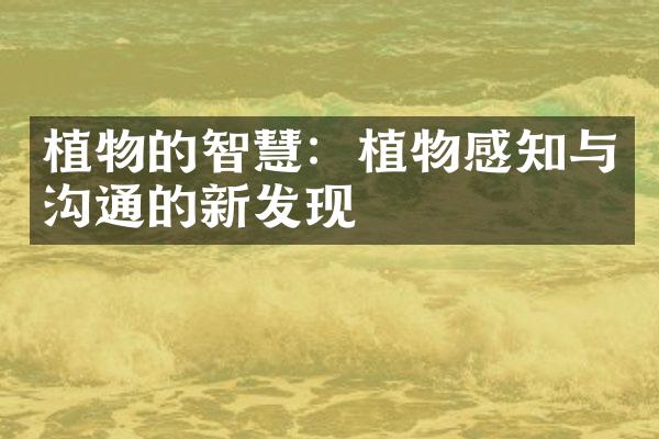 植物的智慧：植物感知与沟通的新发现
