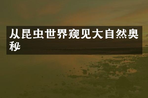 从昆虫世界窥见大自然奥秘