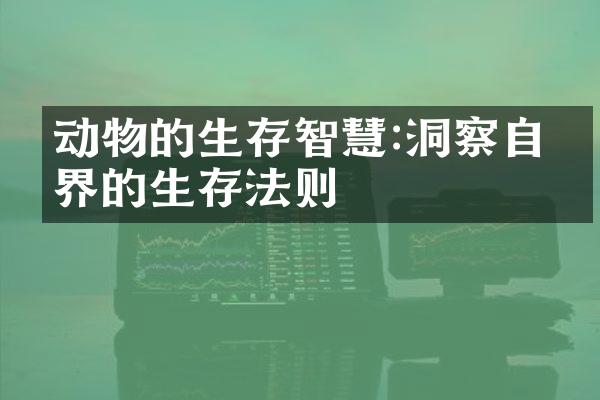 动物的生存智慧:洞察自然界的生存法则