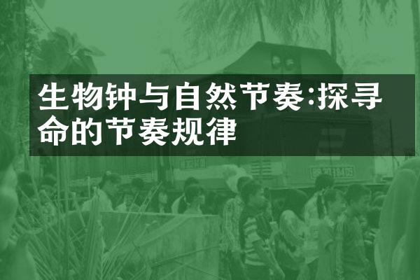 生物钟与自然节奏:探寻生命的节奏规律