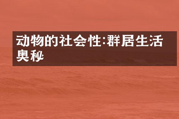 动物的社会性:群居生活的奥秘