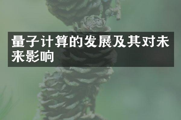 量子计算的发展及其对未来影响