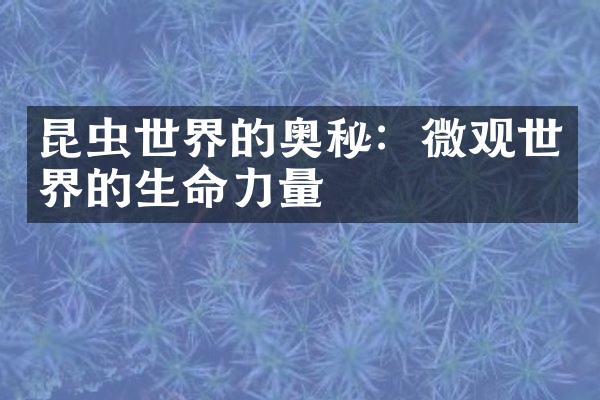昆虫世界的奥秘：微观世界的生命力量