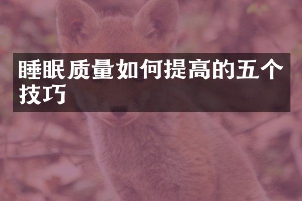 睡眠质量如何提高的五个技巧