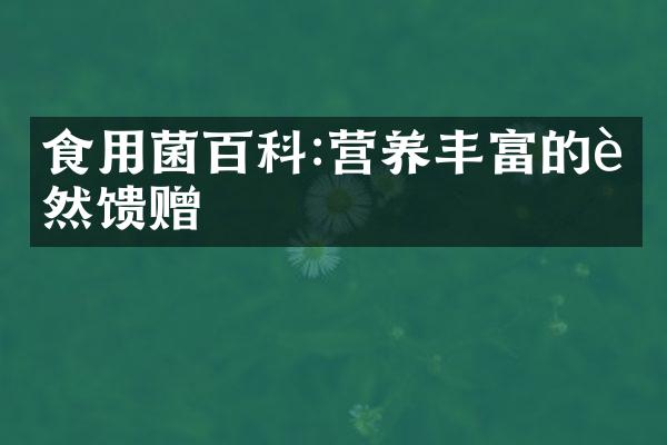 食用菌百科:营养丰富的自然馈赠