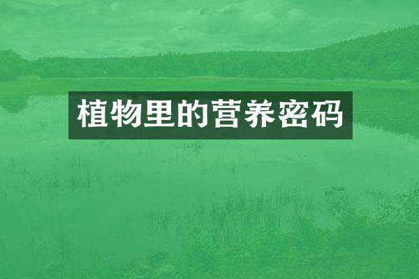 植物里的营养密码