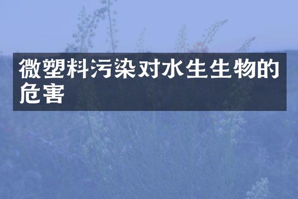 微塑料污染对水生生物的危害
