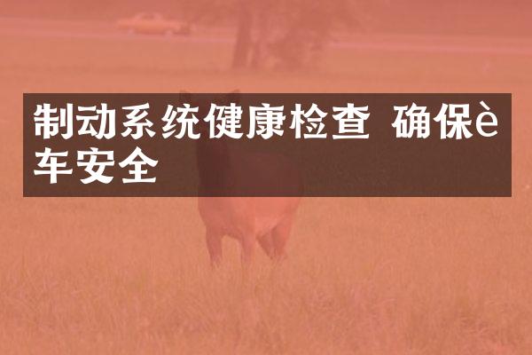 制动系统健康检查 确保行车安全