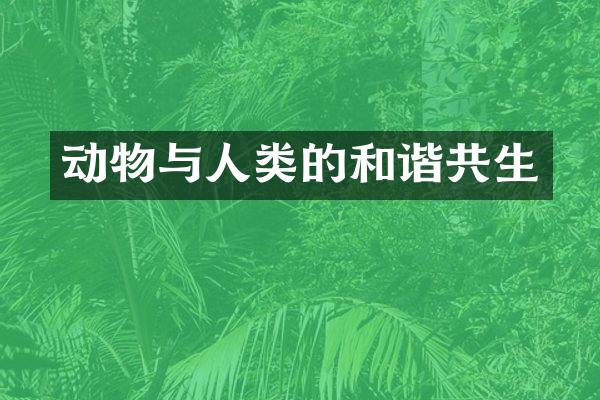 动物与人类的和谐共生