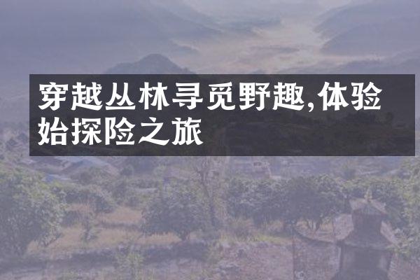 穿越丛林寻觅野趣,体验原始探险之旅