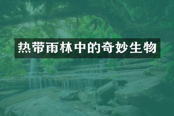 热带雨林中的奇妙生物