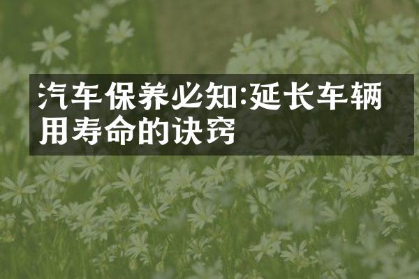 汽车保养必知:延长车辆使用寿命的诀窍