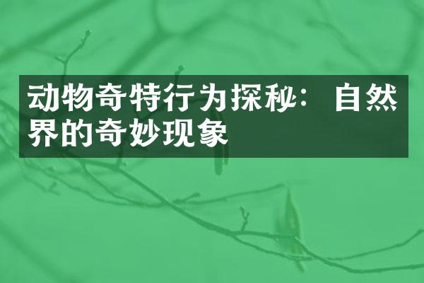 动物奇特行为探秘：自然界的奇妙现象