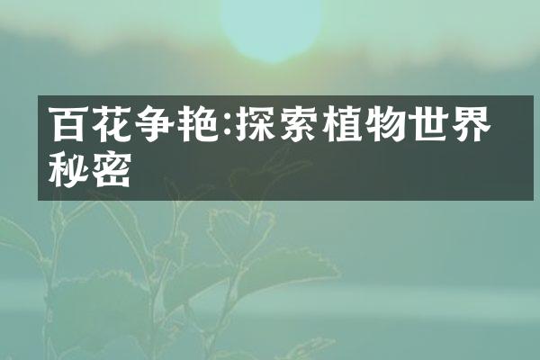 百花争艳:探索植物世界的秘密