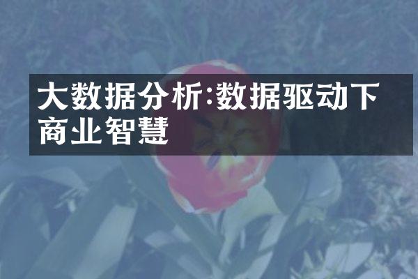 大数据分析:数据驱动下的商业智慧