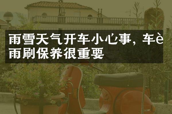 雨雪天气开车小心事, 车载雨刷保养很重要