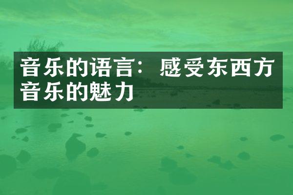 音乐的语言：感受东西方音乐的魅力