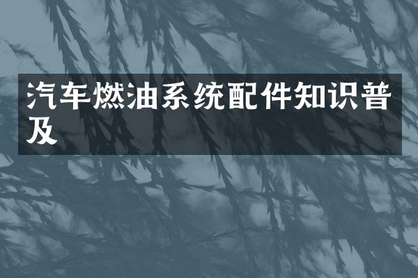 汽车燃油系统配件知识普及