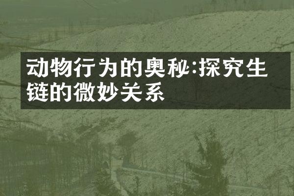 动物行为的奥秘:探究生态链的微妙关系