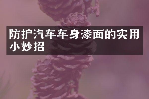 防护汽车车身漆面的实用小妙招