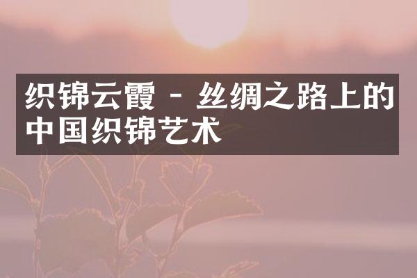 织锦云霞 - 丝绸之路上的中国织锦艺术