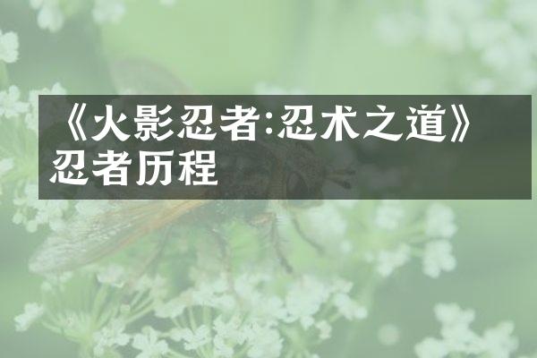 《火影忍者:忍术之道》的忍者历程