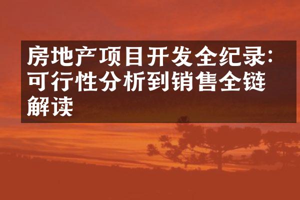 房地产项目开发全纪录:从可行性分析到销售全链条解读