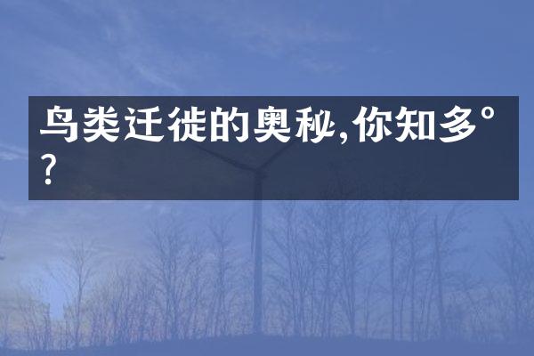 鸟类迁徙的奥秘,你知多少?