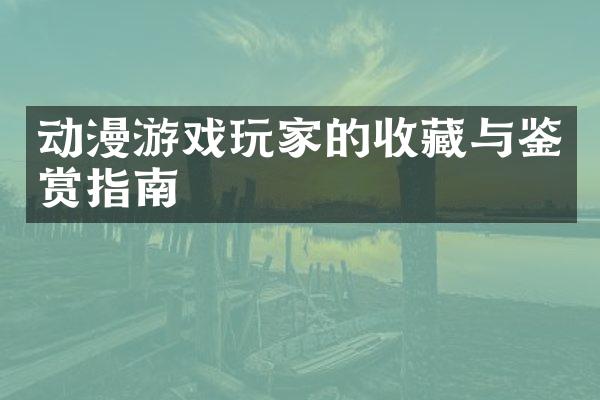 动漫游戏玩家的收藏与鉴赏指南