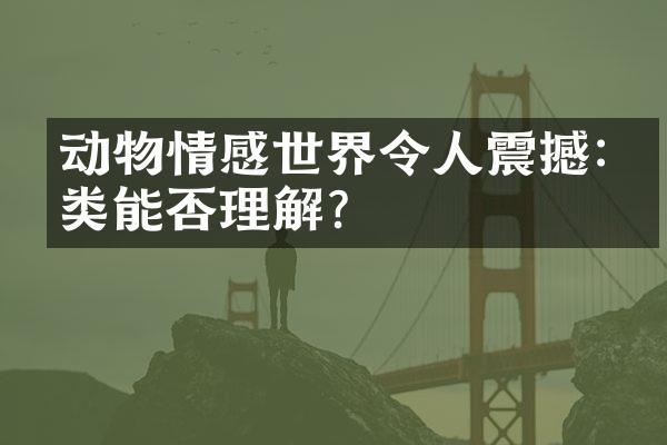 动物情感世界令人震撼:人类能否理解?