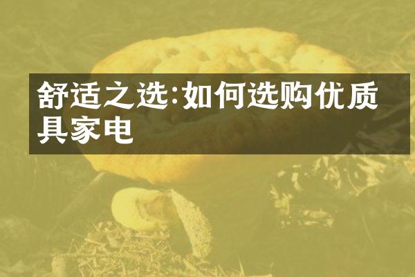 舒适之选:如何选购优质家具家电