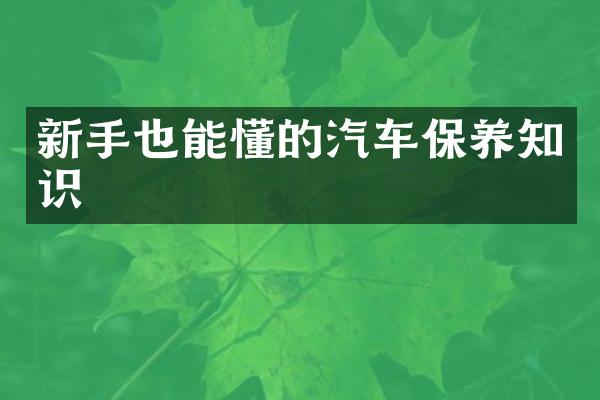 新手也能懂的汽车保养知识