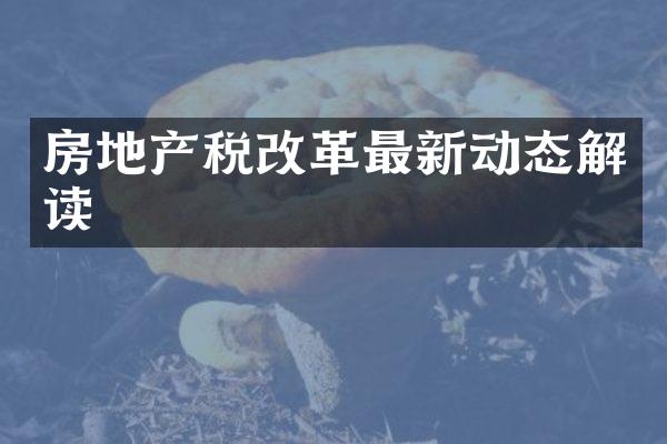 房地产税改革最新动态解读